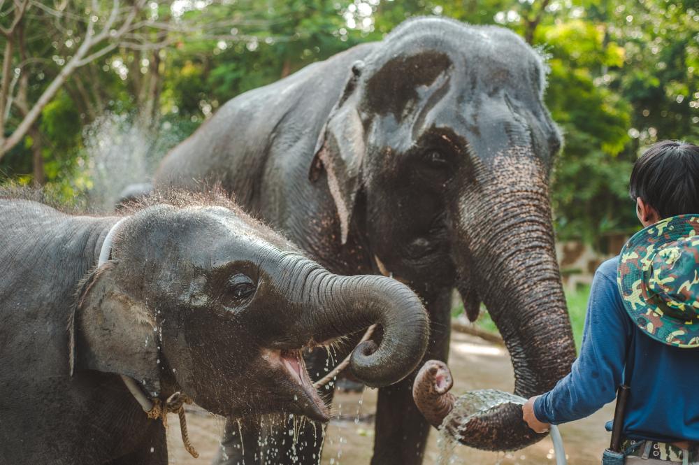 Parc Thai Muang (Khaolak)