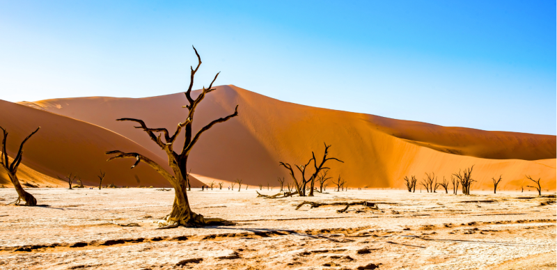 Préparer son voyage en Namibie