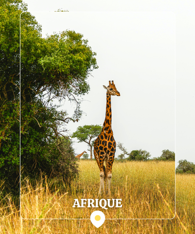 Afrique