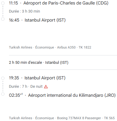 VOS VOLS* TURKISH AIRLINES de PARIS - Vol aller