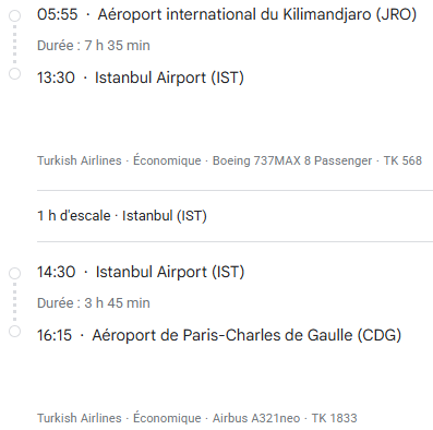 VOS VOLS* TURKISH AIRLINES de PARIS - Vol retour