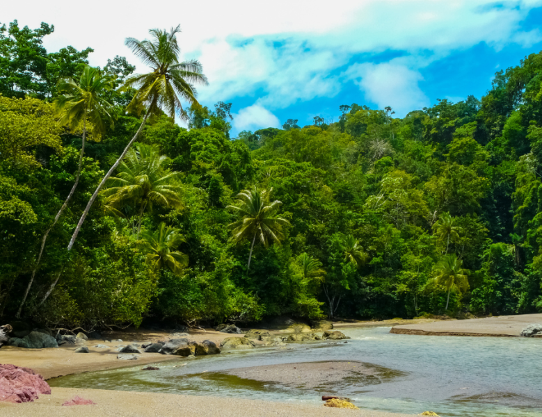 JOUR 4 : SAN GERARDO DE DOTA / CORCOVADO