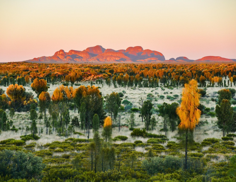 JOUR 9 : AYERS ROCK ✈️ SYDNEY