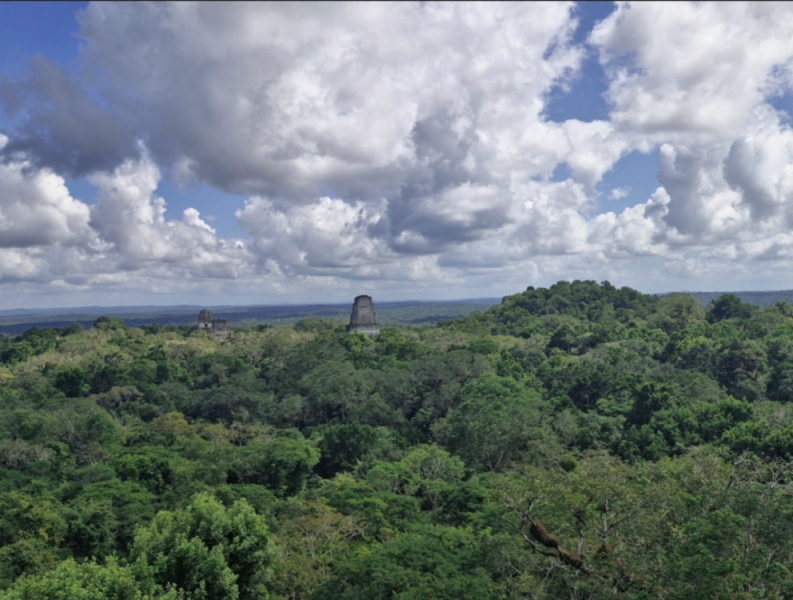 JOUR 4 : FLORES / TIKAL / RIO DULCE