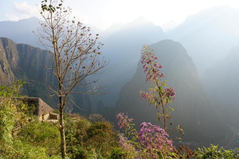 JOUR 9 : MACHU PICCHU
