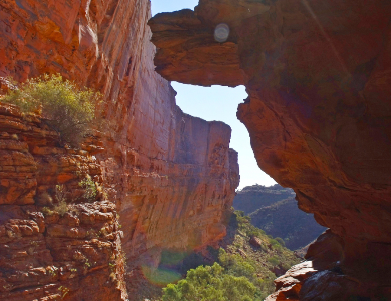 JOUR 8 : KINGS CANYON - AYERS ROCK