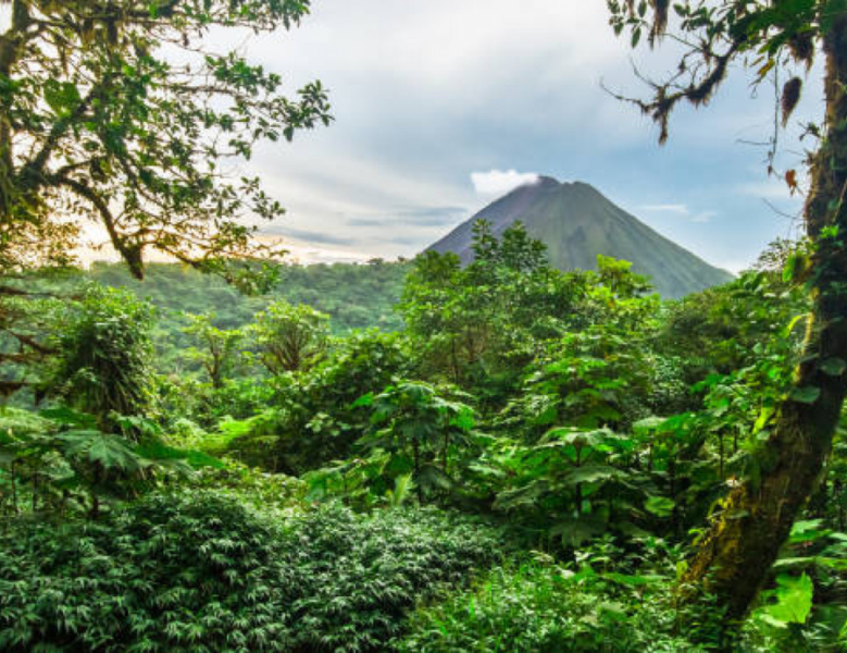 JOUR 9 : ARENAL