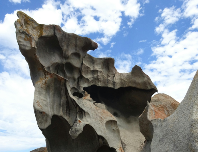 JOUR 5 : KANGAROO ISLAND -  ADÉLAÏDE