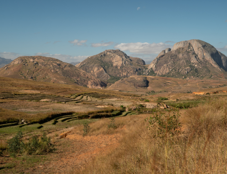 JOUR 5 : ANTSIRABE / RANOMAFANA