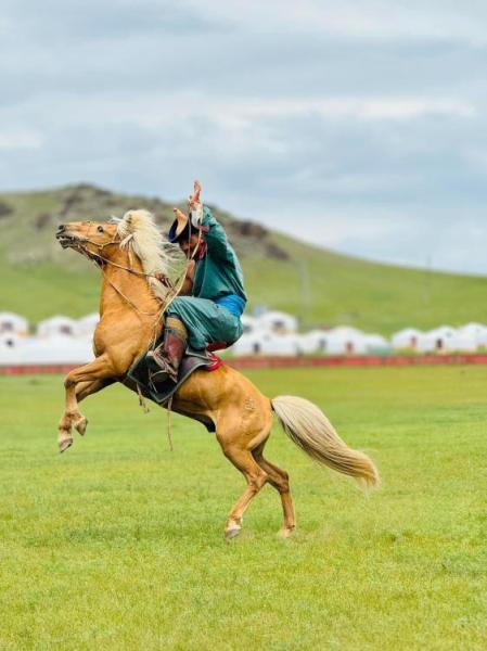 JOUR 5 : TERELJ / MONGOL NOMADIC 🔷VOYAGE & FORMATION🔷