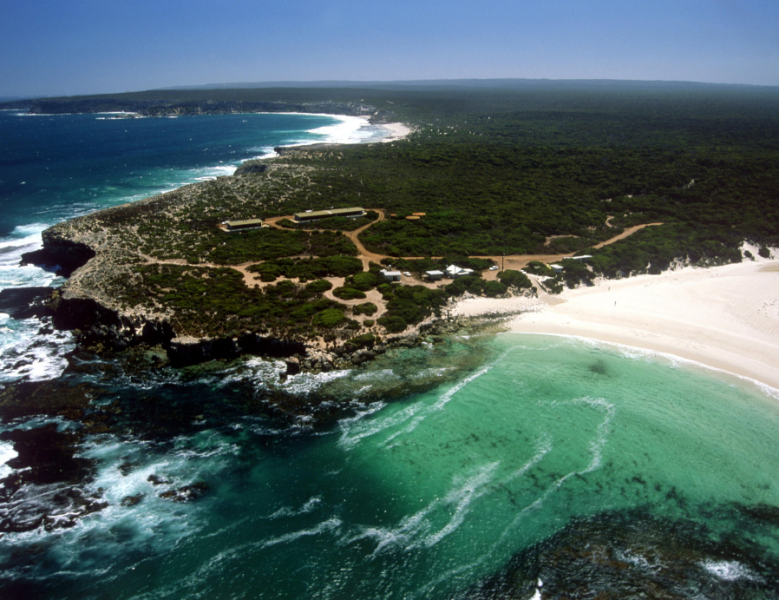 JOUR 4 : ADÉLAÏDE - KANGAROO ISLAND