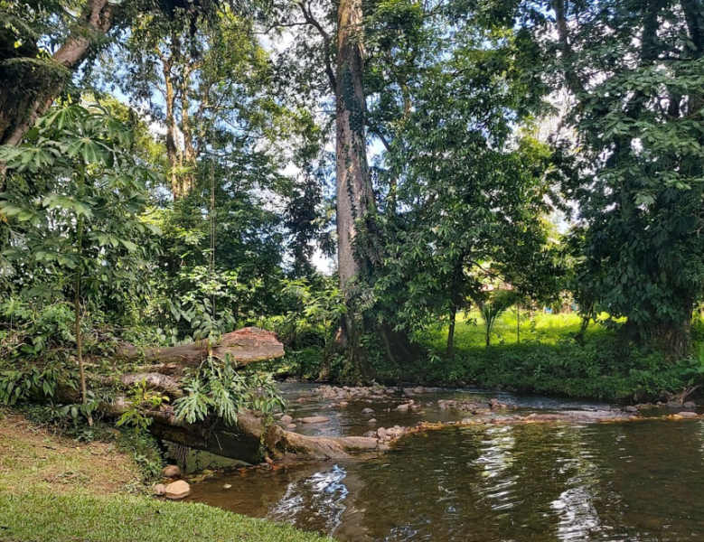 JOUR 10 : ARENAL / SARAPIQUI