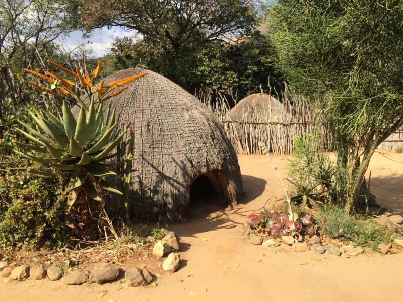 JOUR 6 : PARC KRUGER / ROYAUME D'ESWATINI (ex-Swaziland) 💚- Vendredi 9 avril 2027