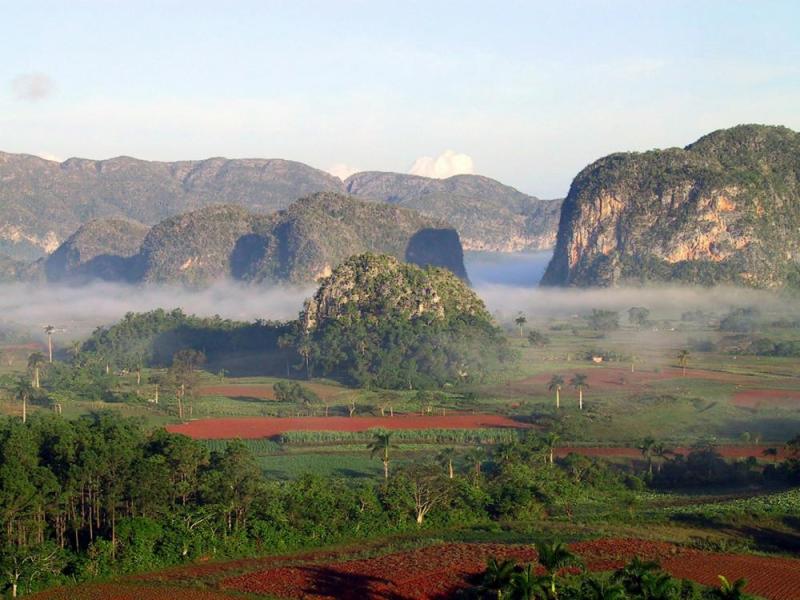 JOUR 3 : LA HAVANE / LAS TERRAZAS / VINALES
