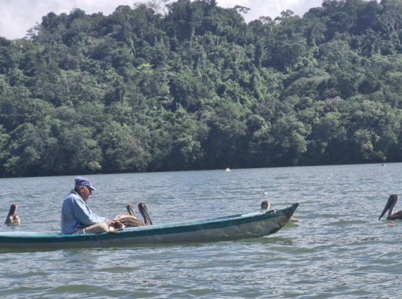 JOUR 5 : JOURNEE LE LONG DU FLEUVE RIO DULCE 💚