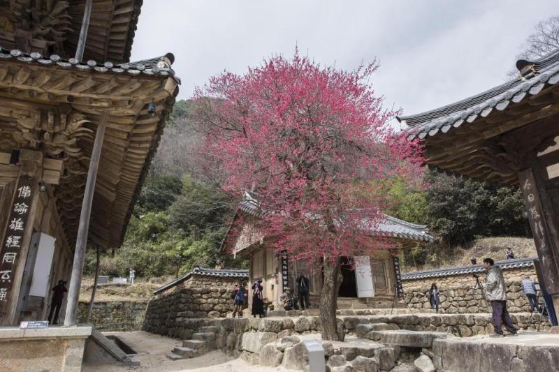 JOUR 9 : BUSAN / JIRISAN / JEONJU  🟠VOYAGE🟠