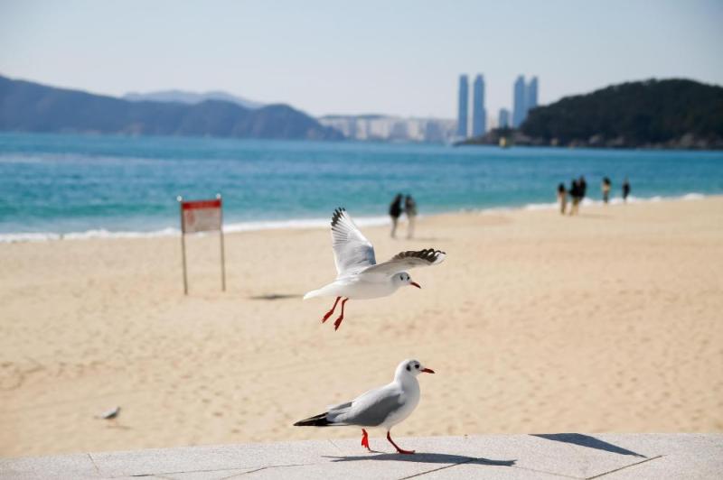 JOUR 8 : BUSAN 🔷VOYAGE & FORMATION🔷