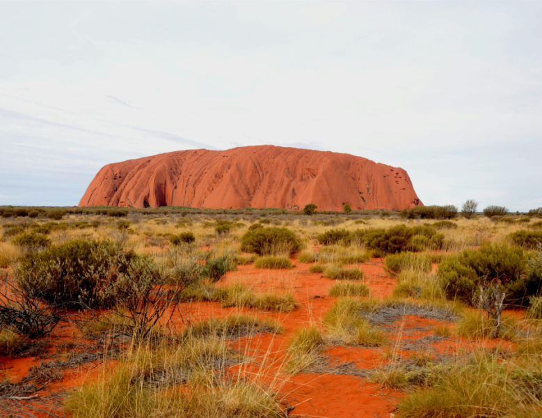 JOUR 8 : KINGS CANYON - AYERS ROCK
