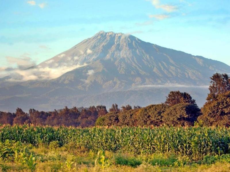 JOUR 2 : PARC NATIONAL ARUSHA 🔷VOYAGE & FORMATION🔷