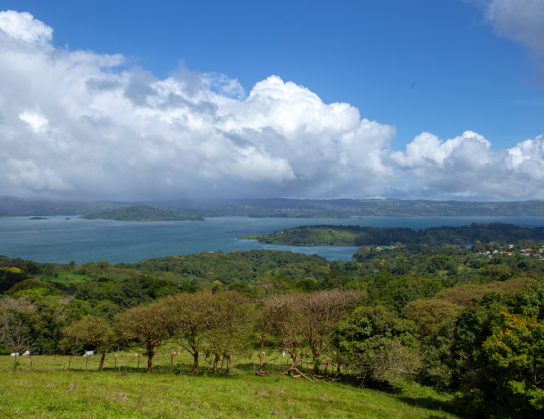 JOUR 8 : MONTEVERDE / ARENAL