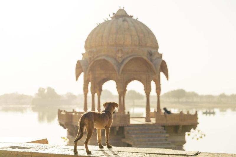 JOUR 2 : DELHI / JAISALMER 🔷VOYAGE & FORMATION🔷