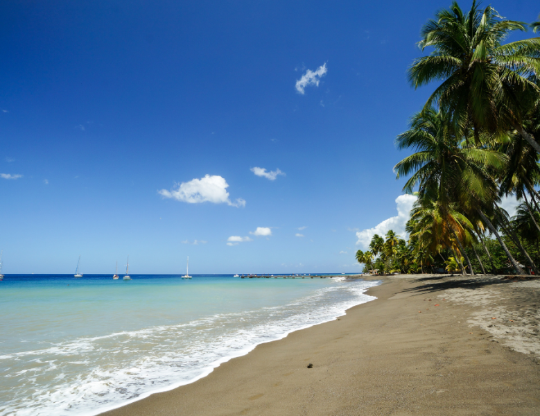 JOUR 4 : LA MARTINIQUE