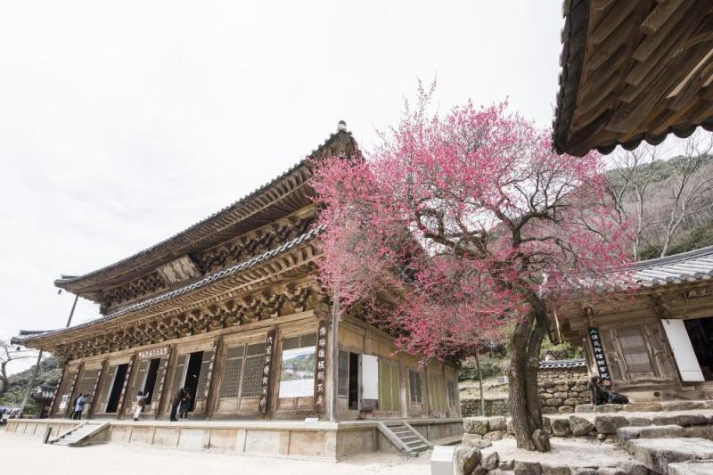 JOUR 9 : BUSAN / JIRISAN / JEONJU  🟠VOYAGE🟠