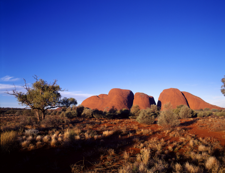 JOUR 8 : KINGS CANYON - AYERS ROCK