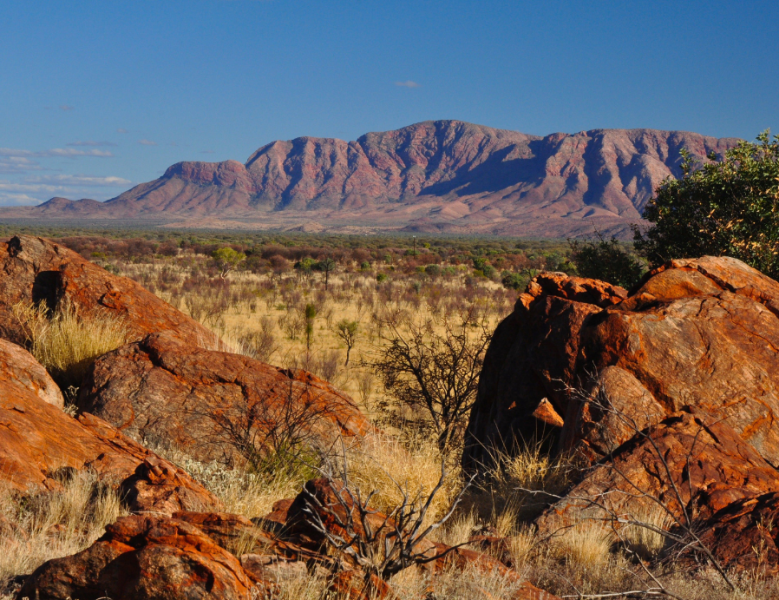 JOUR 7 : ALICE SPRINGS - KINGS CREEK STATION