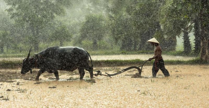 JOUR 6 :  LUANG PRABANG / VANG VIENG
