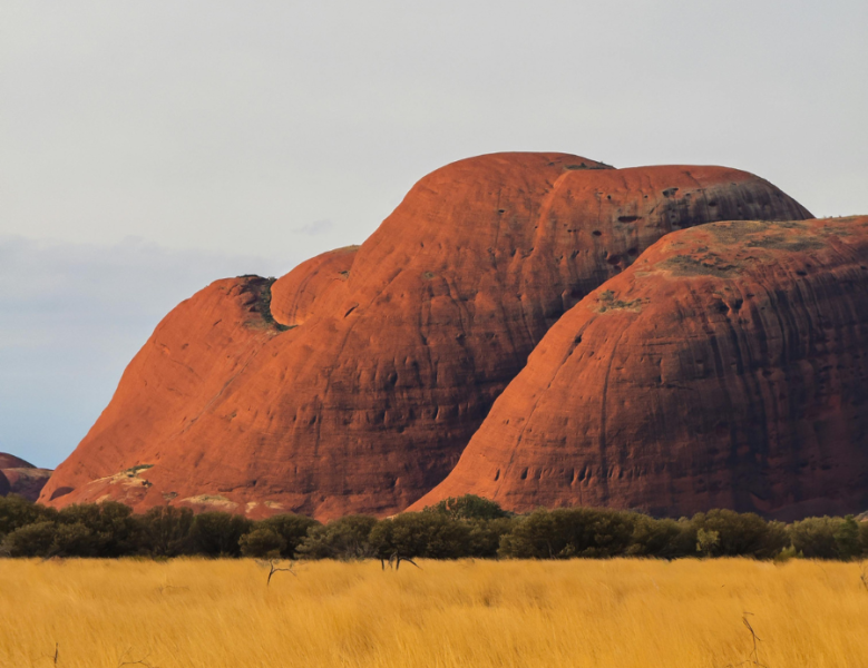 JOUR 7 : ALICE SPRINGS - KINGS CREEK STATION