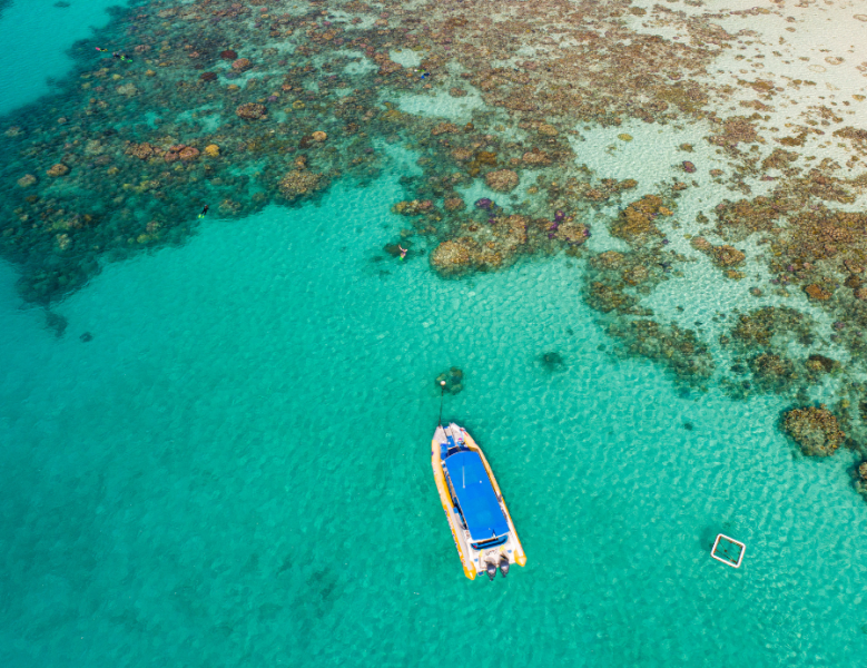 JOUR 13 : GRANDE BARRIERE DE CORAIL