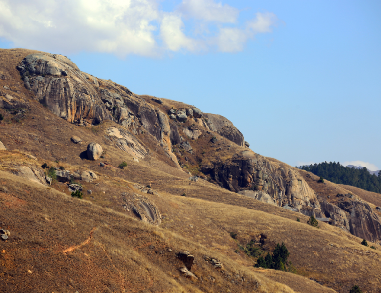 JOUR 5 : ANTSIRABE / RANOMAFANA