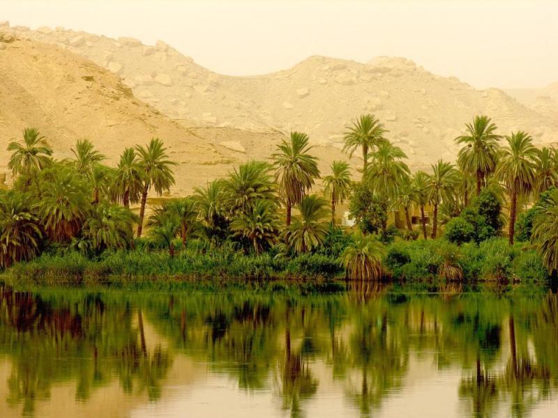 JOUR 5 : GEBEL EL SILSILA – KOM OMBO – ASSOUAN  (croisière Nil) 🔷VOYAGE & FORMATION🔷