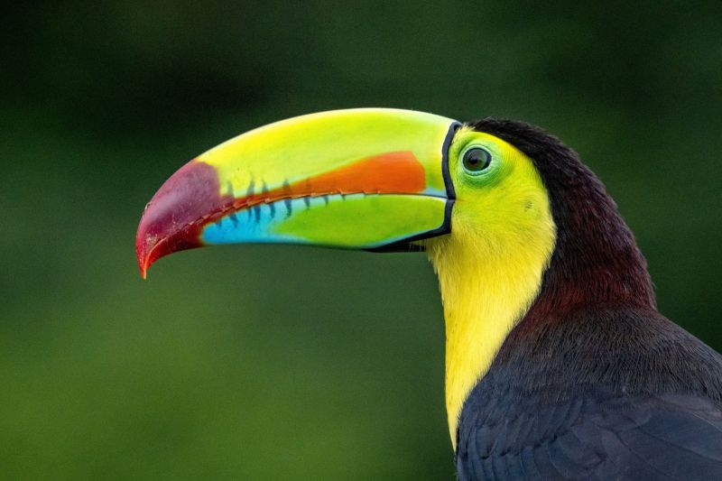 Costa Rica, Couleurs avec Puntarenas